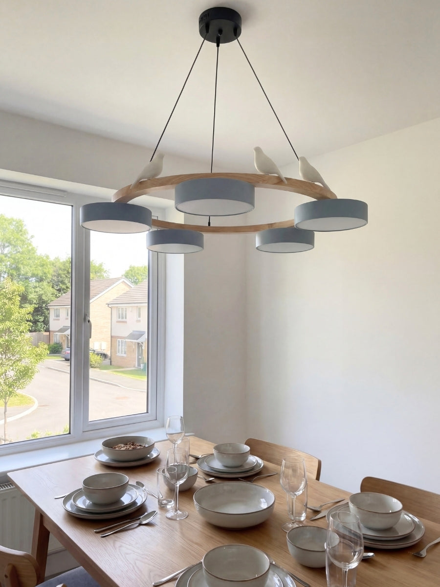 Modern Creative Colourful Circle Bird Chandelier