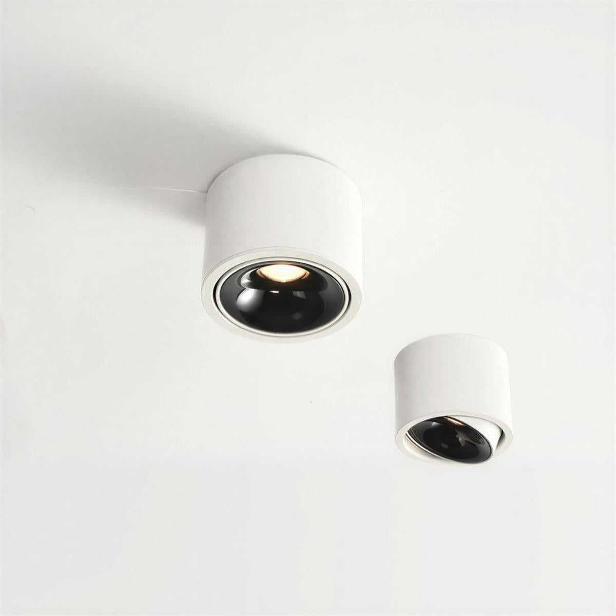 Cylindrical Flush Mount Ceiling Light Fixture With Adjustable Spotlight