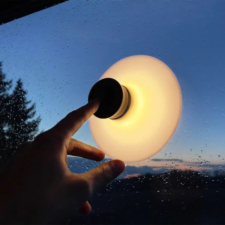 Rechargeable LED lamp with adjustable brightness