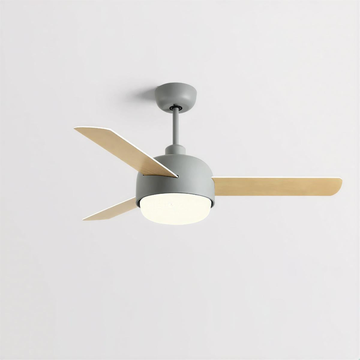Modern Nordic Ceiling Fan With Light