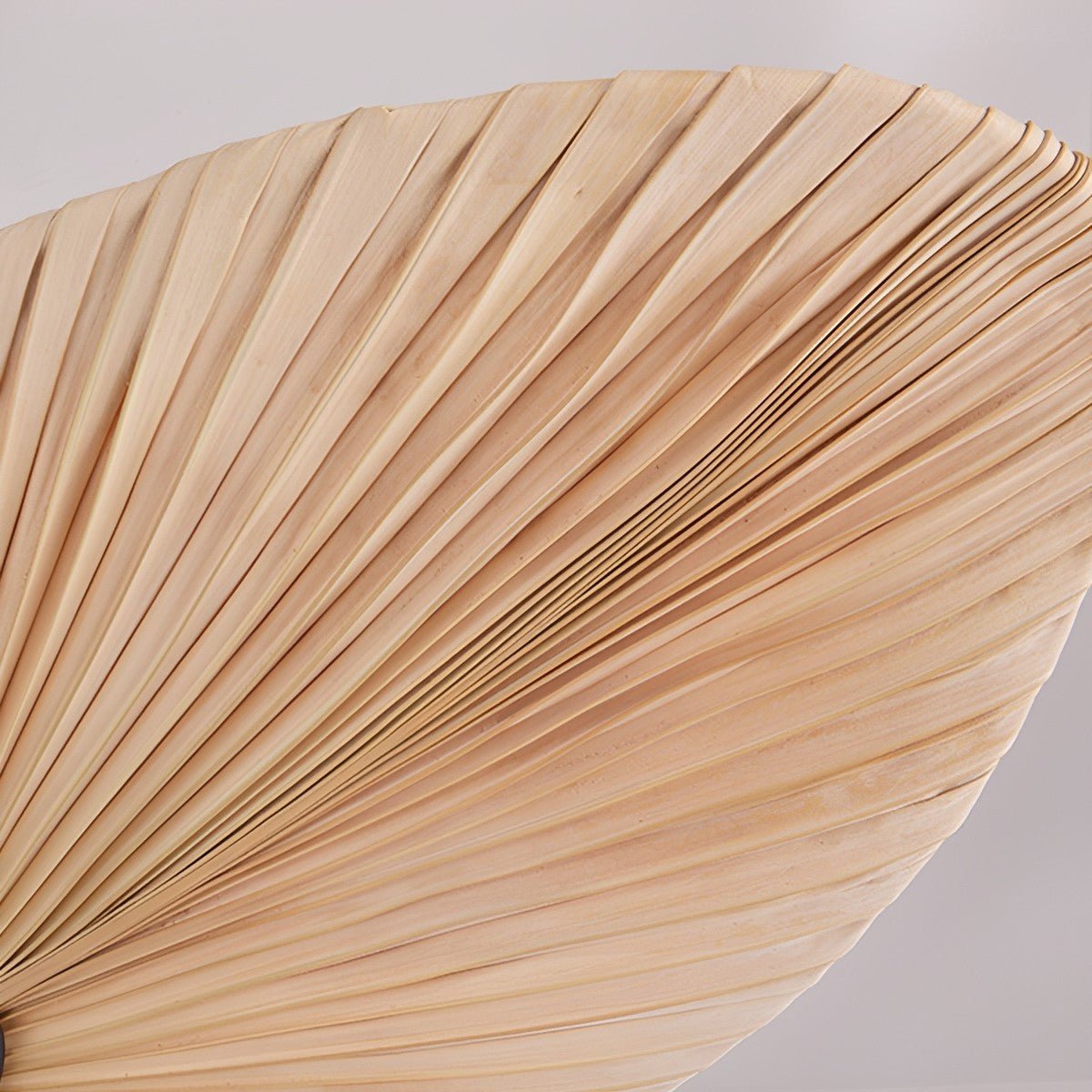 Palm Leaf Ceiling Fan with Silent DC Motor Frequency Conversion Remote Control For Bedroom