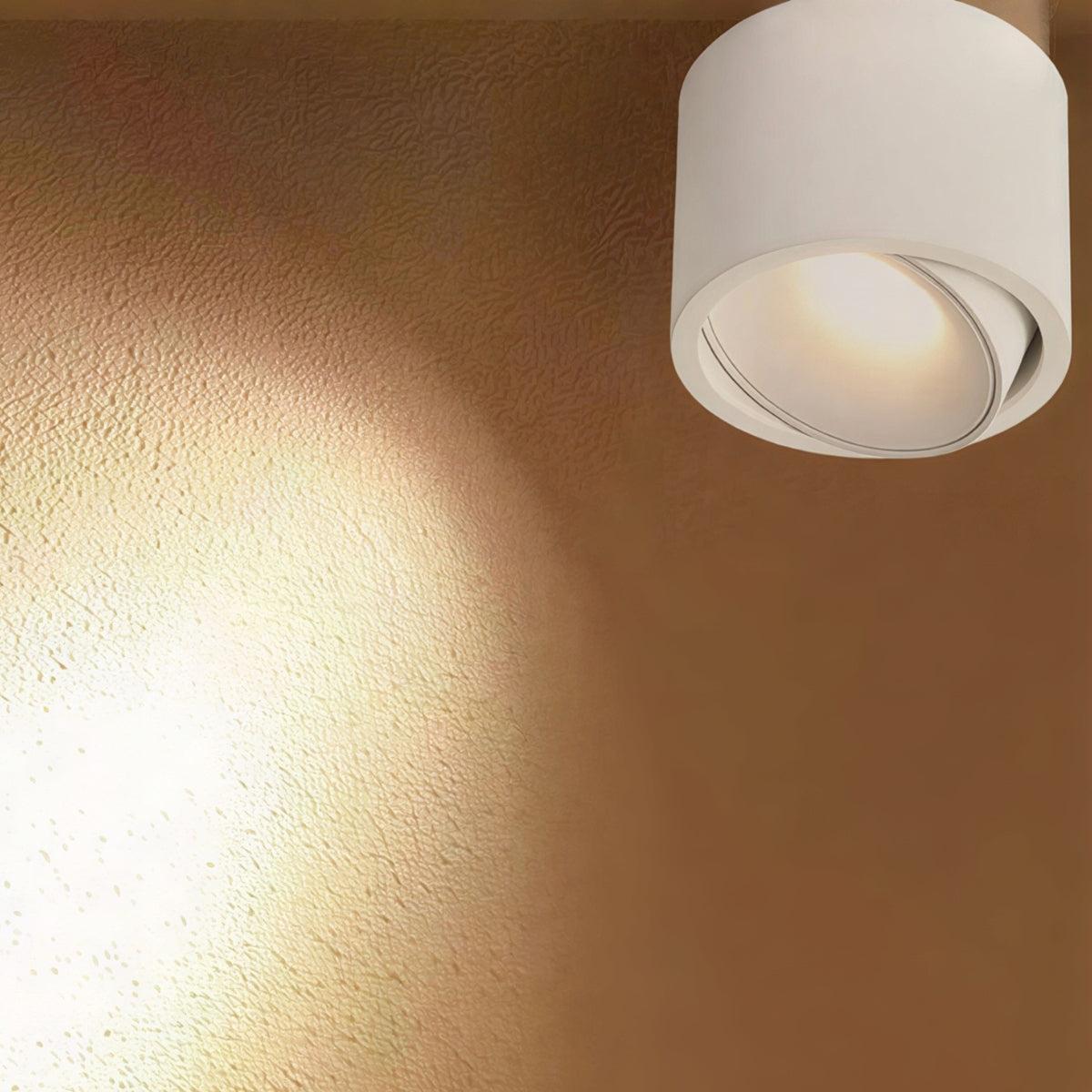 Cylindrical Flush Mount Ceiling Light Fixture With Adjustable Spotlight