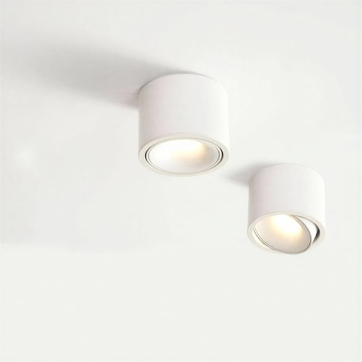 Cylindrical Flush Mount Ceiling Light Fixture With Adjustable Spotlight